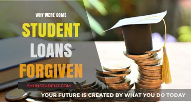 Understanding the Reasons Behind Recent Student Loan Forgiveness Programs