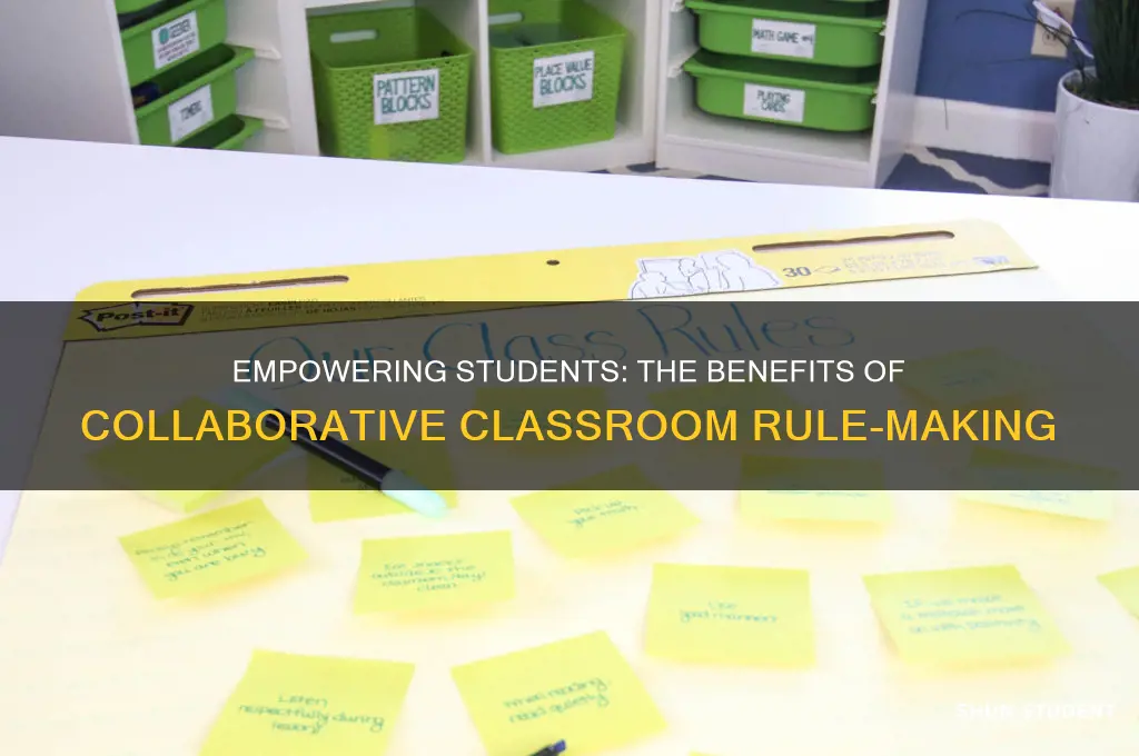 why would a teacher allow students to help formulate rules