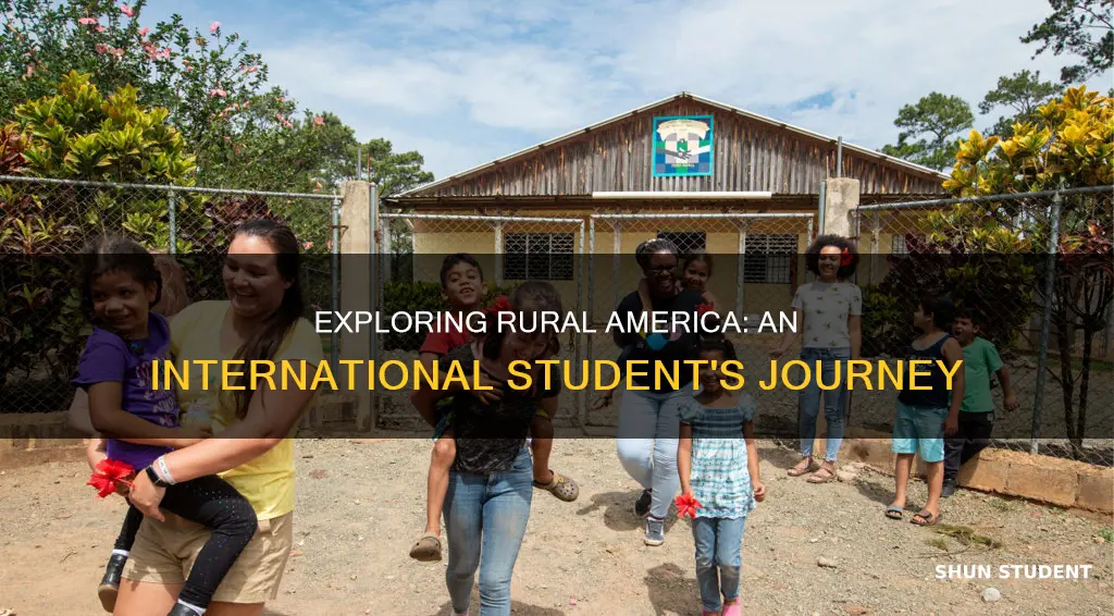 why would international students attend a rural community college
