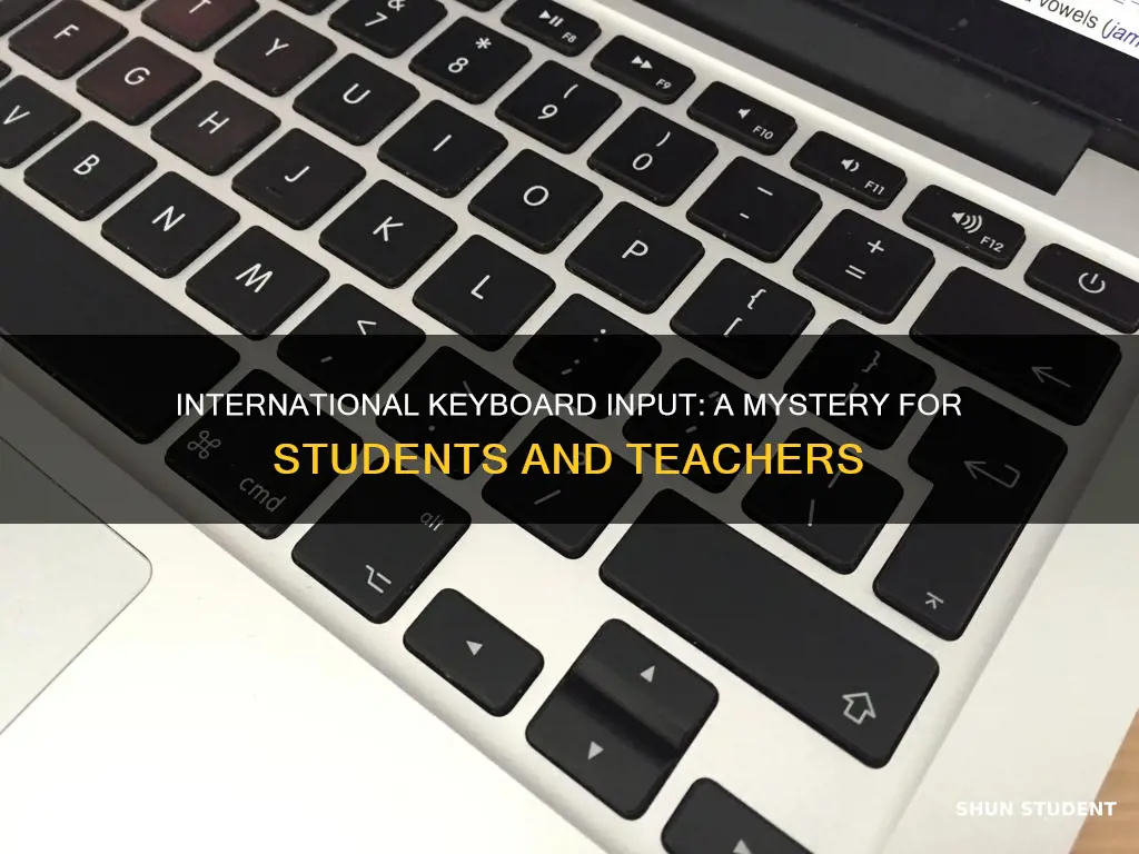 why would multiple students have international keyboard input without changing
