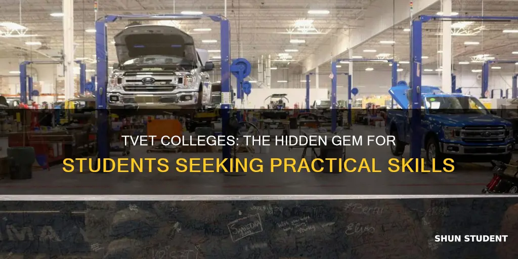 why would students consider studying at tvet colleges than universities