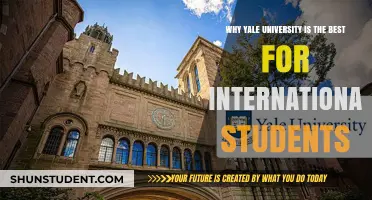 Why Yale University is a Top Choice for International Students