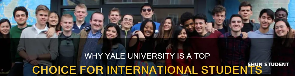 why yale university is the best for international students