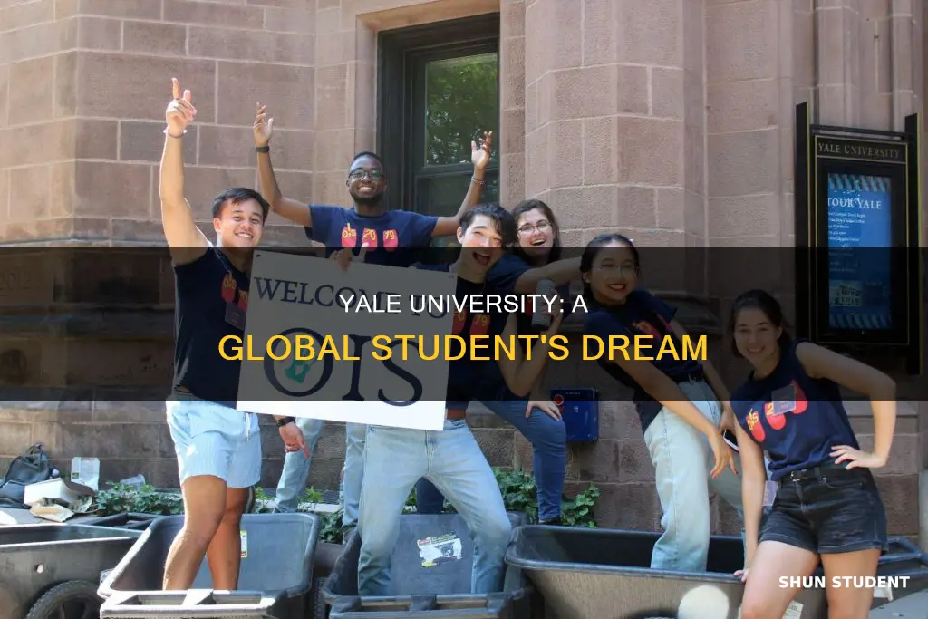why yale university is the best for international students