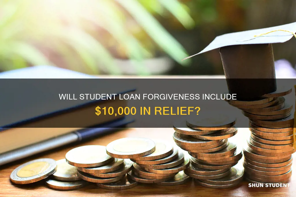 will 10 000 in student loans be forgiven
