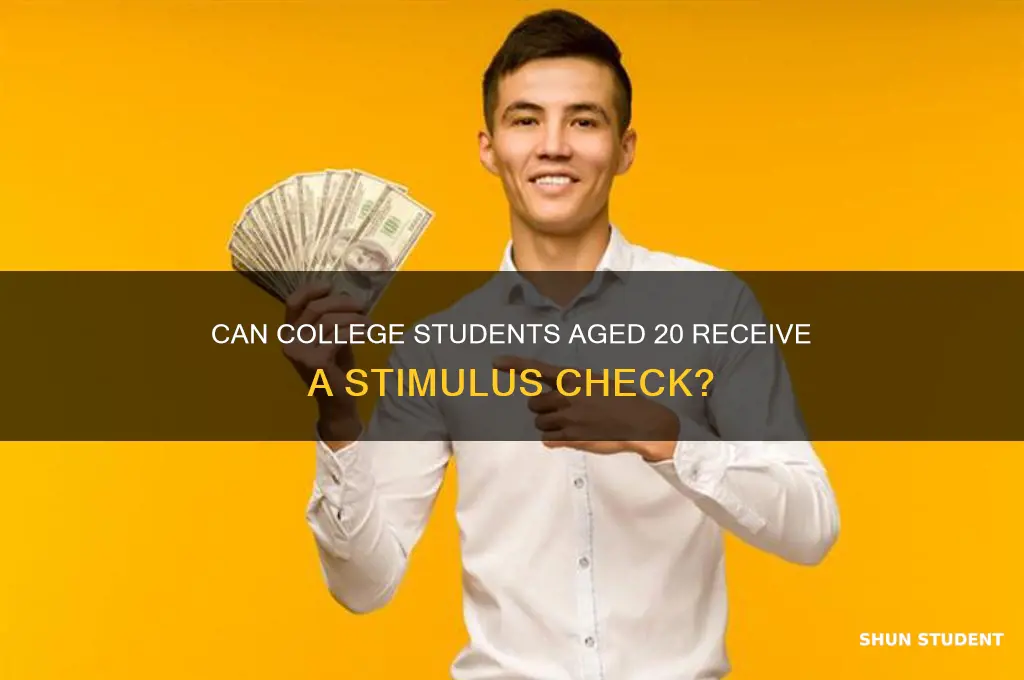 will a 20 year old student get a stimulus check