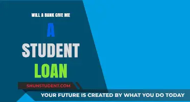 Can You Get a Student Loan from a Bank? Key Insights