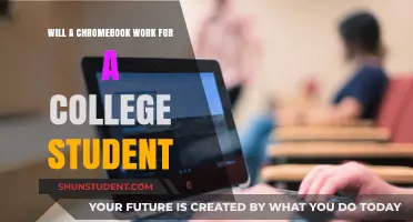 Chromebooks for College: Pros, Cons, and Practicality for Students