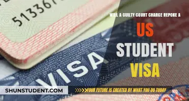 Guilty Court Charge: Can It Revoke a US Student Visa?