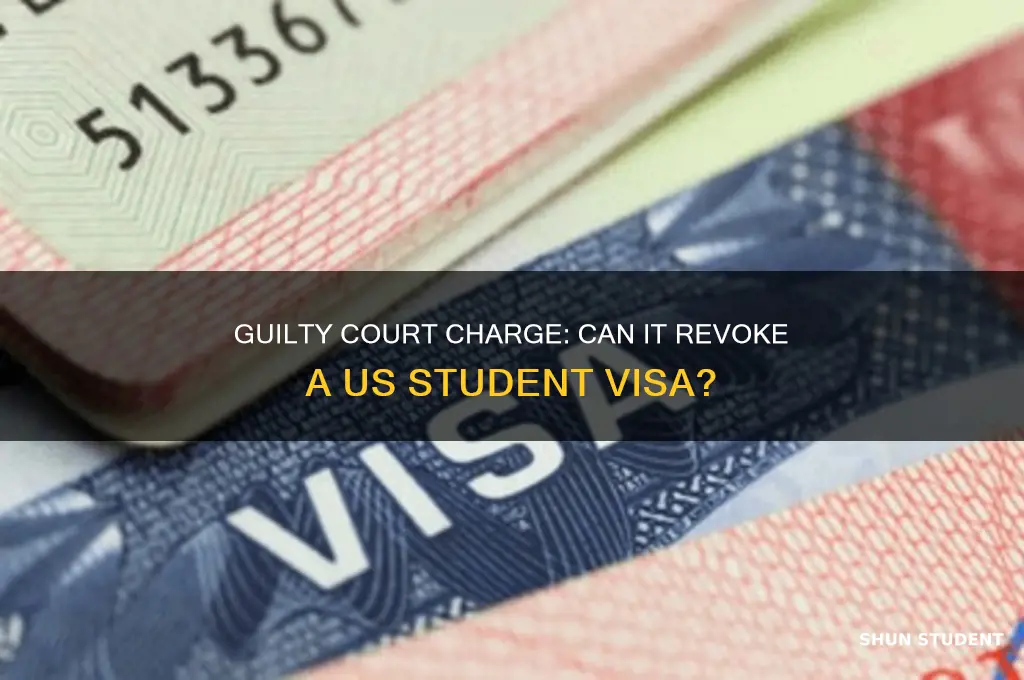 will a guilty court charge repoke a us student visa