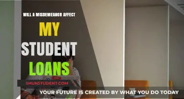 Misdemeanor Impact: How It Affects Your Student Loan Eligibility and Repayment