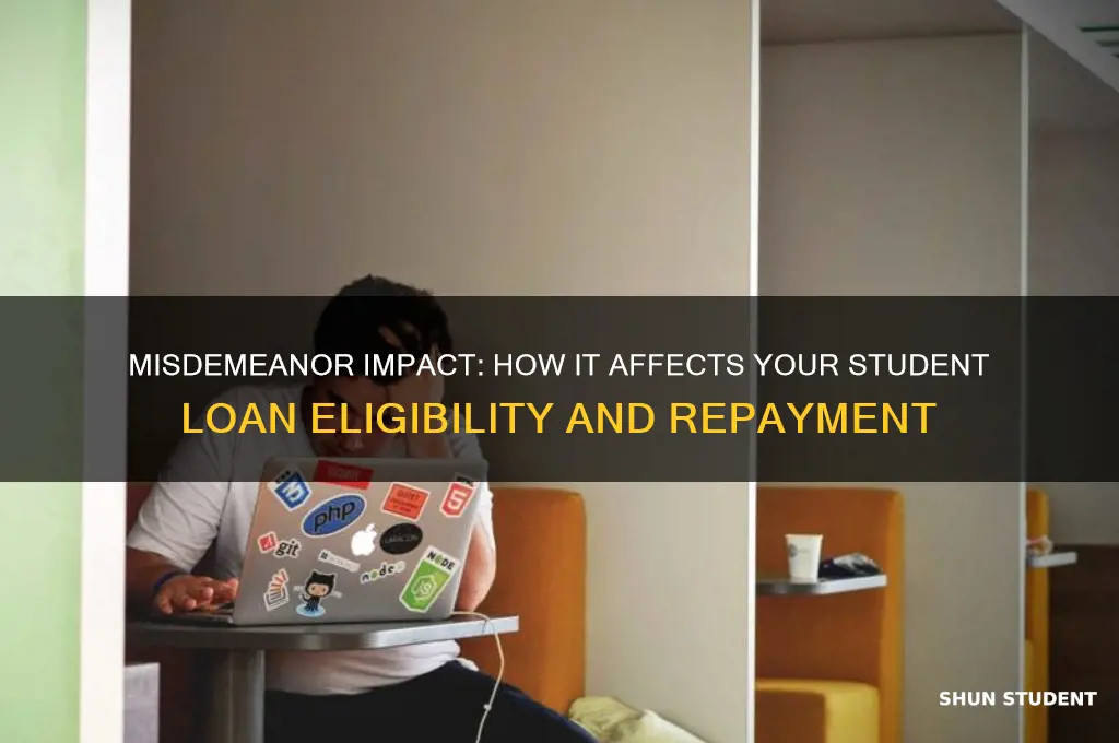 will a misdemeanor affect my student loans