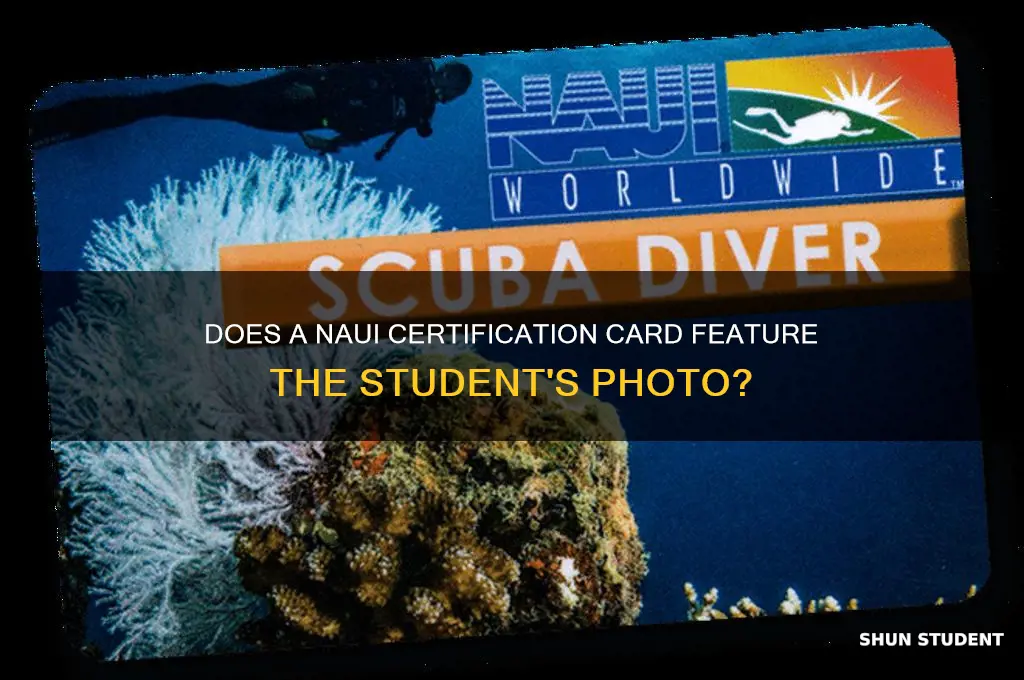 will a naui cert card include the students account photo