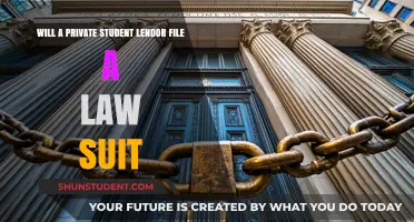 Can Private Student Lenders Sue? Legal Risks Borrowers Should Know
