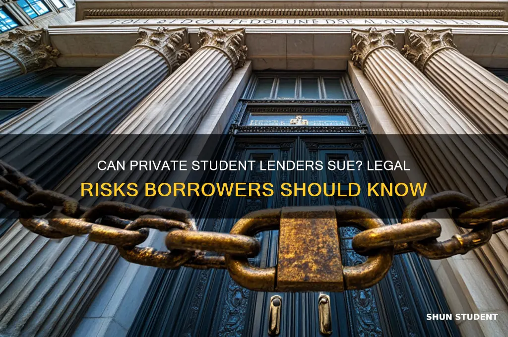 will a private student lendor file a law suit