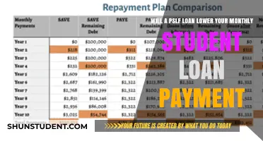 Can PSLF Reduce Your Monthly Student Loan Payments? Find Out