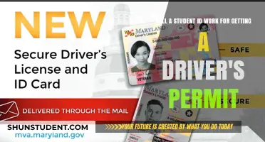 Can a Student ID Replace Required Documents for a Driver's Permit?