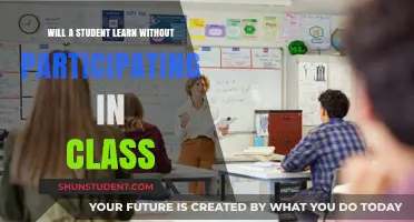 Can Students Truly Learn Without Active Class Participation?
