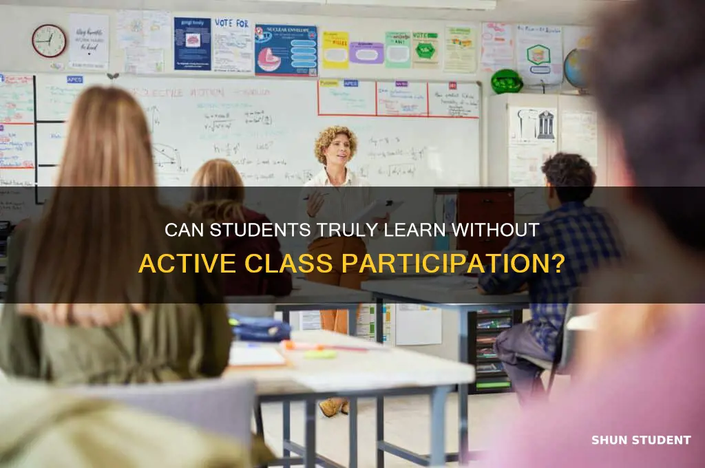 will a student learn without participating in class