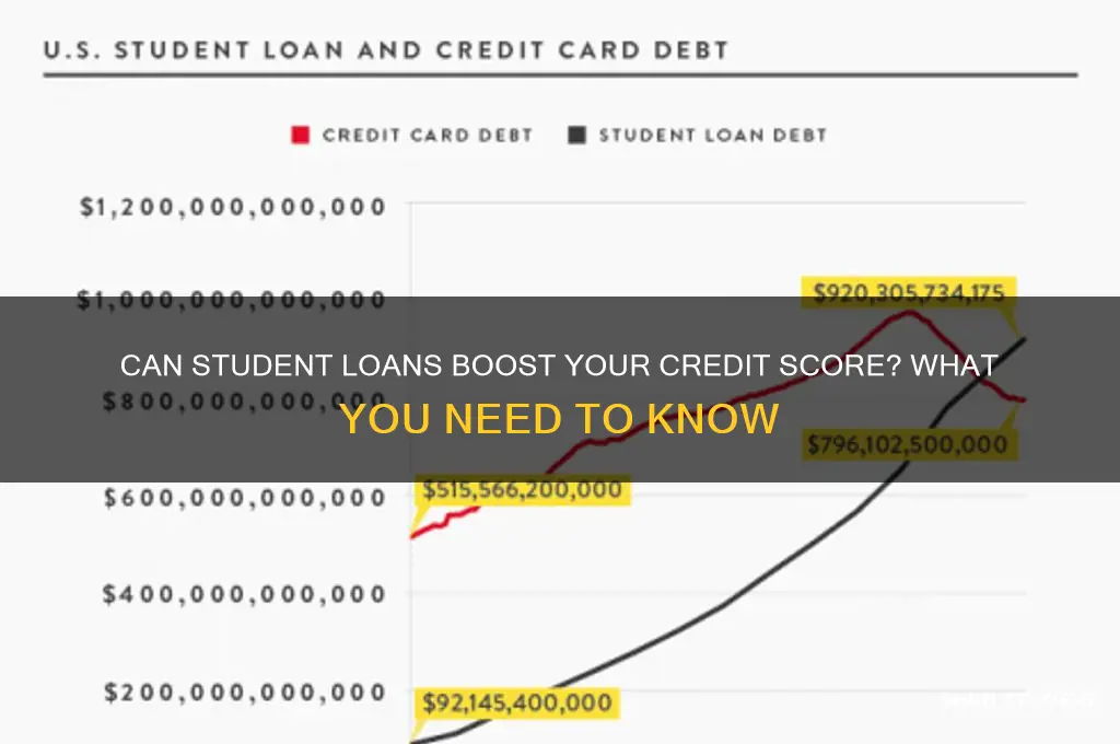 will a student loan build credit