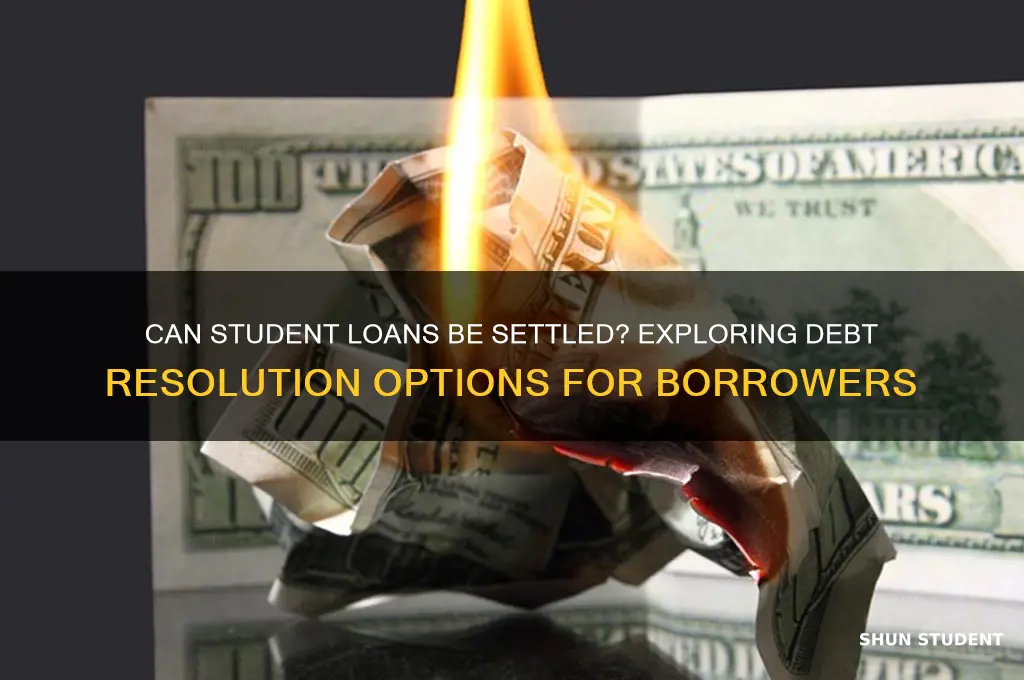 will a student loan ever settle