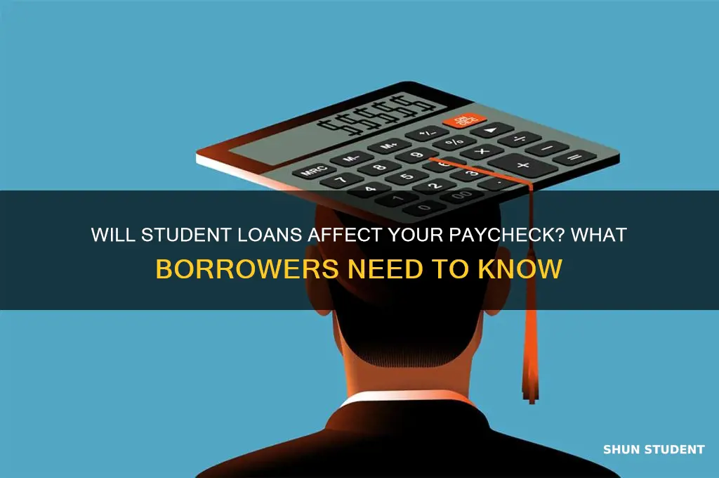 will a student loan show up on paycheck
