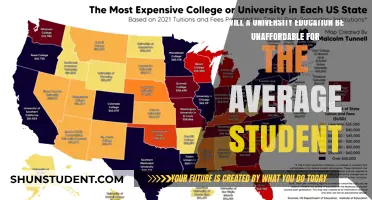 The Rising Cost of Higher Education: Will It Be Unaffordable for the Average Student?