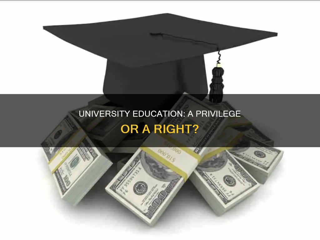will a university education be unaffordable for the average student