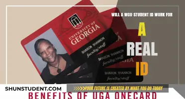 WGU Student ID as Real ID: What You Need to Know