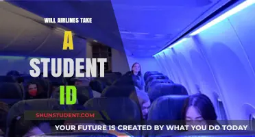 Can Students Use Student IDs for Airline Travel? Key Insights