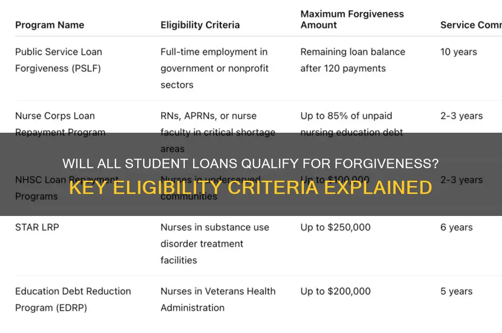 will all student loans be eligible for forgiveness