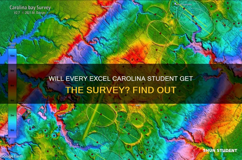 will all student receive the survey from excel carolina