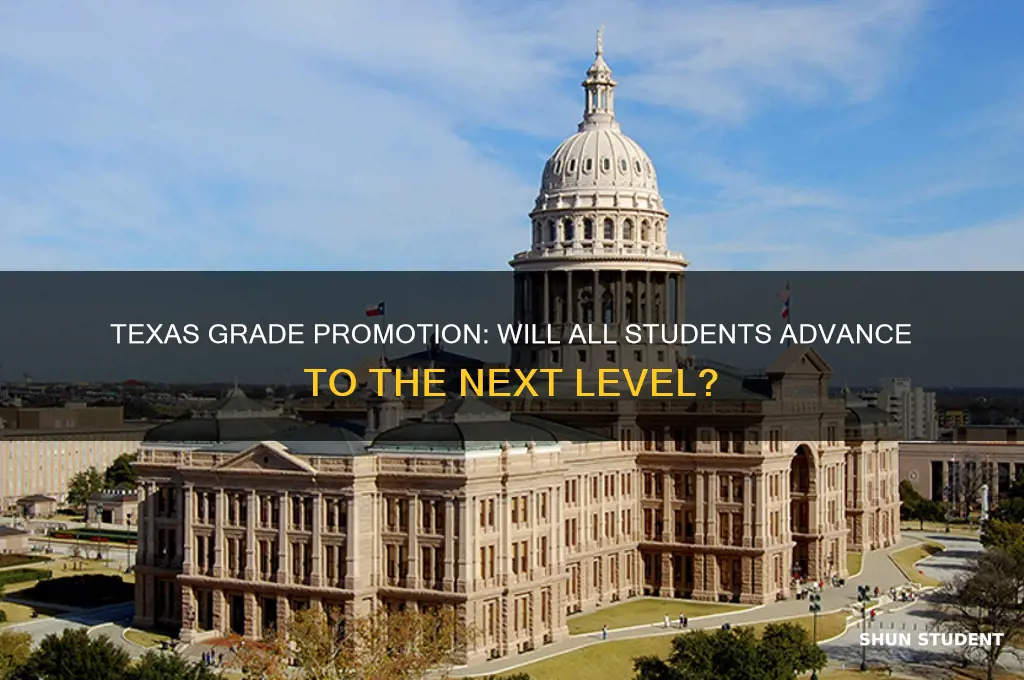will all students pass to the next grade in texas