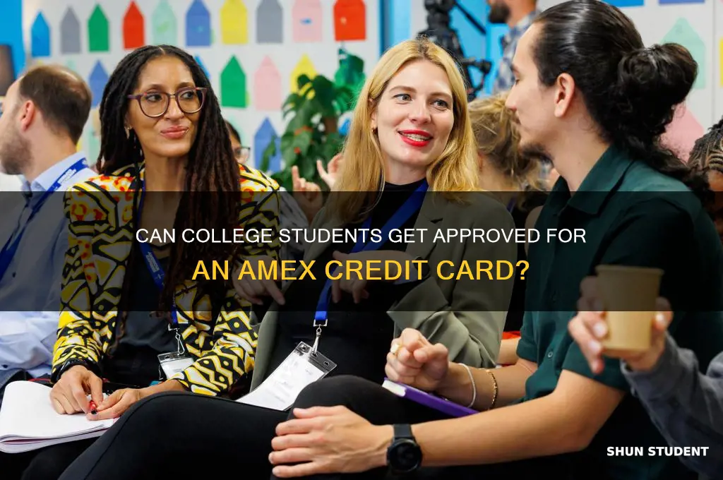 will amex approve college students