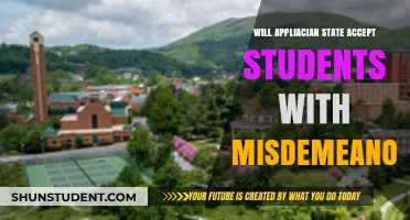 Appalachian State Admissions: Misdemeanor Impact on Student Acceptance