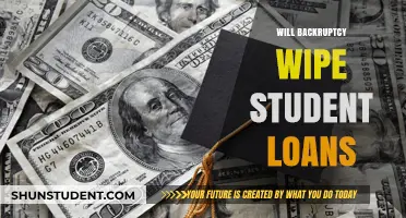Can Bankruptcy Erase Student Loans? Understanding Your Financial Options