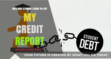 How to Remove Bad Student Loans from Your Credit Report