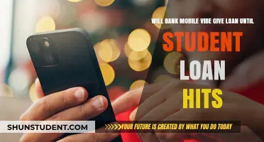 Bank Mobile Vibe Loans: Bridging the Gap Until Student Aid Arrives?