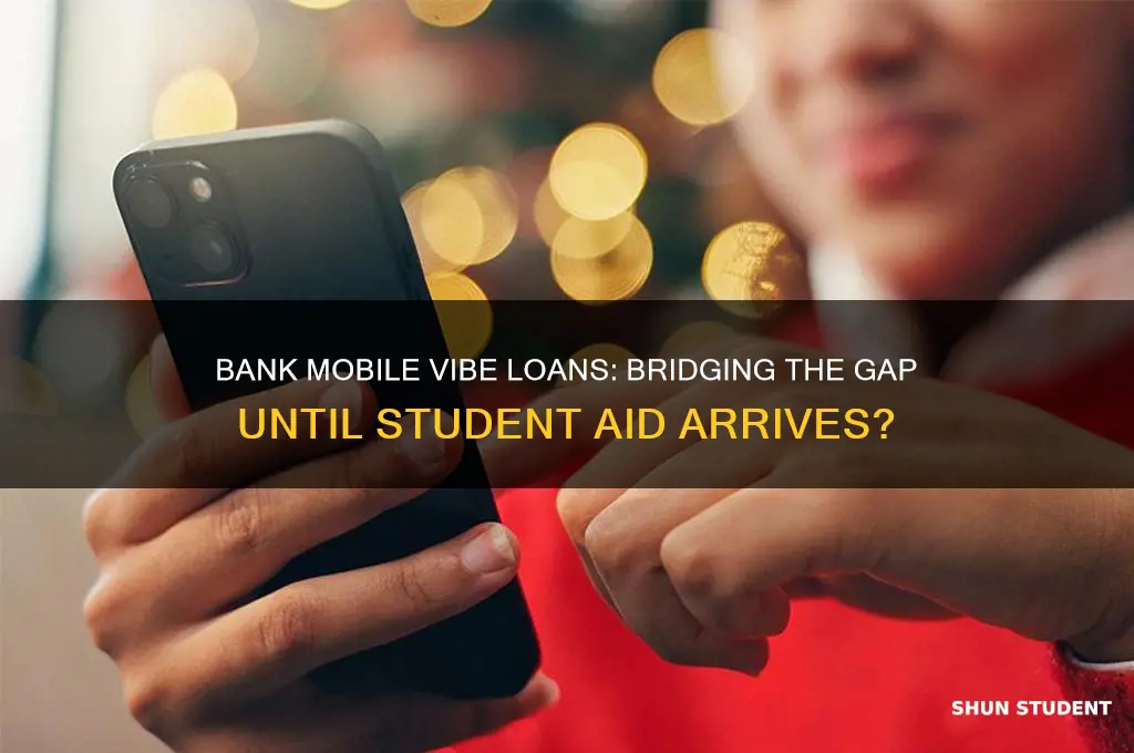 will bank mobile vibe give loan until student loan hits
