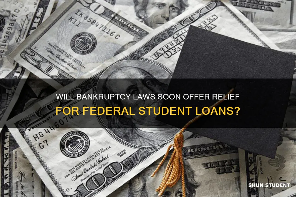 will bankrupstcy law likey change fir fed student lian