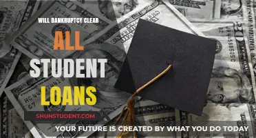 Can Bankruptcy Wipe Out Student Loans? What You Need to Know