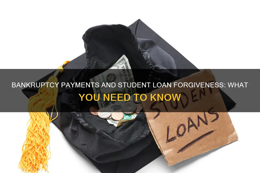 will bankruptcy payments count for student loan forgiveness