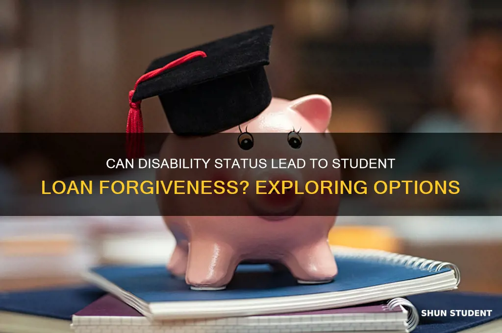 will being disability forgive student loans
