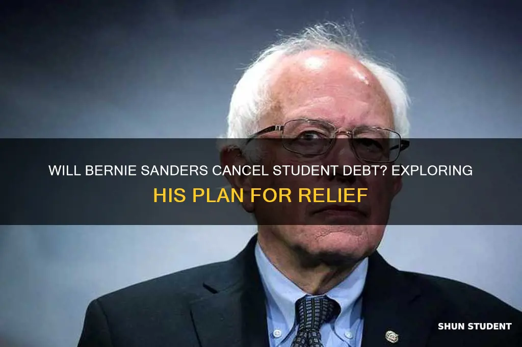 will bernie eliminate student debt