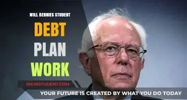 Can Bernie's Student Debt Plan Solve the Crisis? Analyzing Its Feasibility