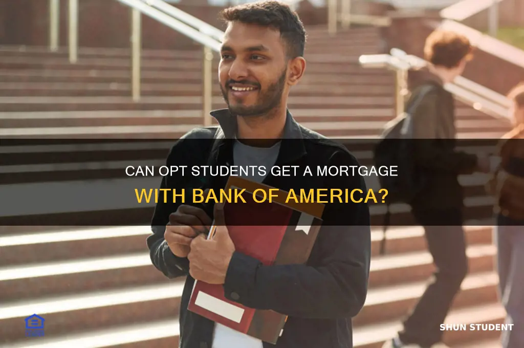 will boa offer mortgage for opt student
