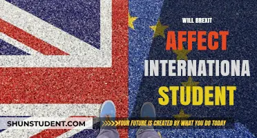 Brexit's Impact on International Students Studying in the UK