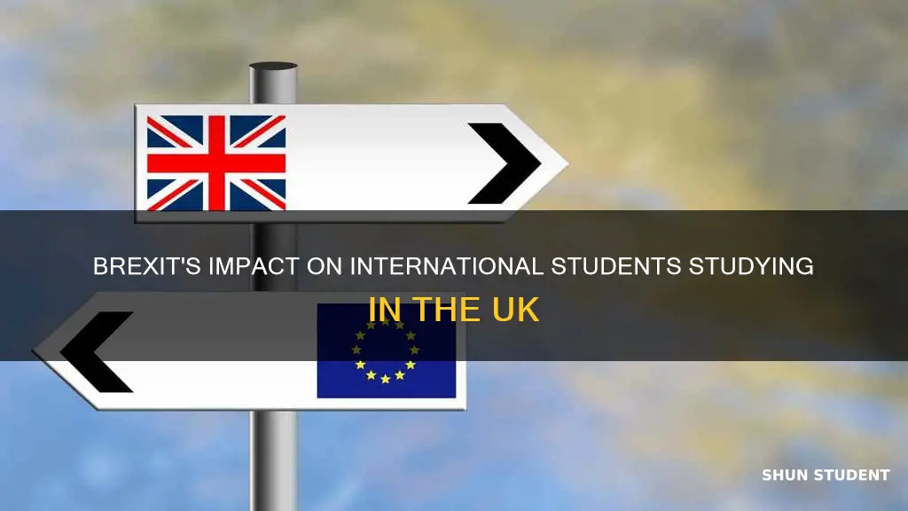 will brexit affect international student