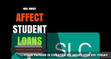 Brexit's Impact on Student Loans: What UK Students Need to Know