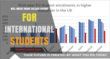 Brexit's Impact: Will College Become More Affordable for International Students?